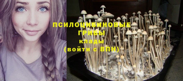 ECSTASY Абдулино